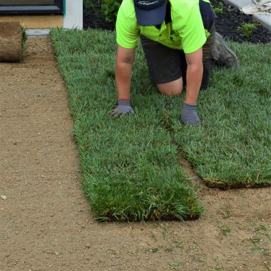 Rolling out the Turf