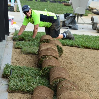 Rolling out the Turf