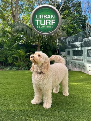 Urban Turf Solutions