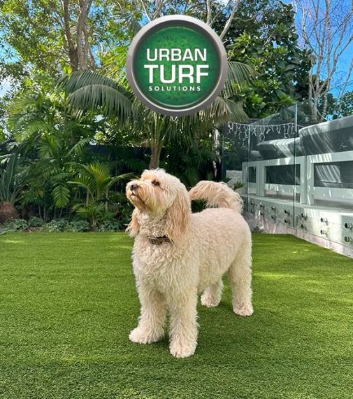Urban Turf Solutions