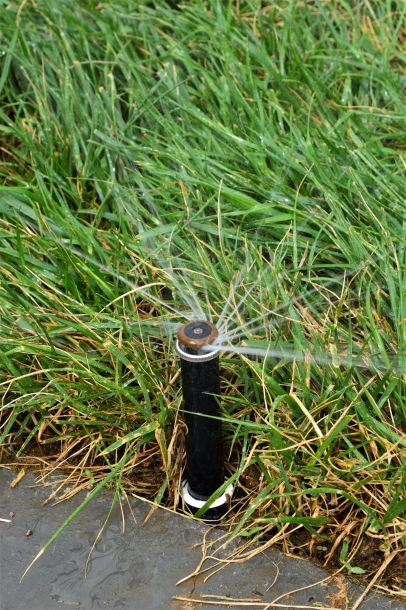 Pop-Up Sprinkler