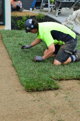 Wendy Lining up the Turf