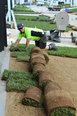 Rolling out the Turf