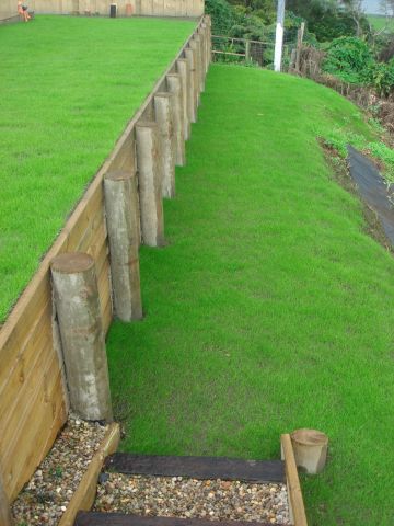 New Grass on Retaining Wall