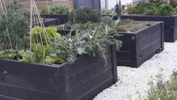 Vegetable Planter Box